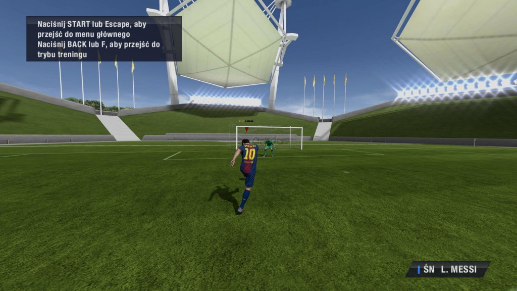 Arena nadal jest dostępna w FIFA 13